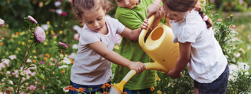 green thumb kids upgraded green thumb kids upgraded