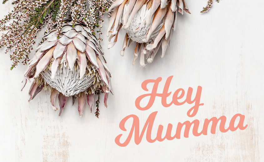 MothersDay_Website_AranaHillsPlz_844x517